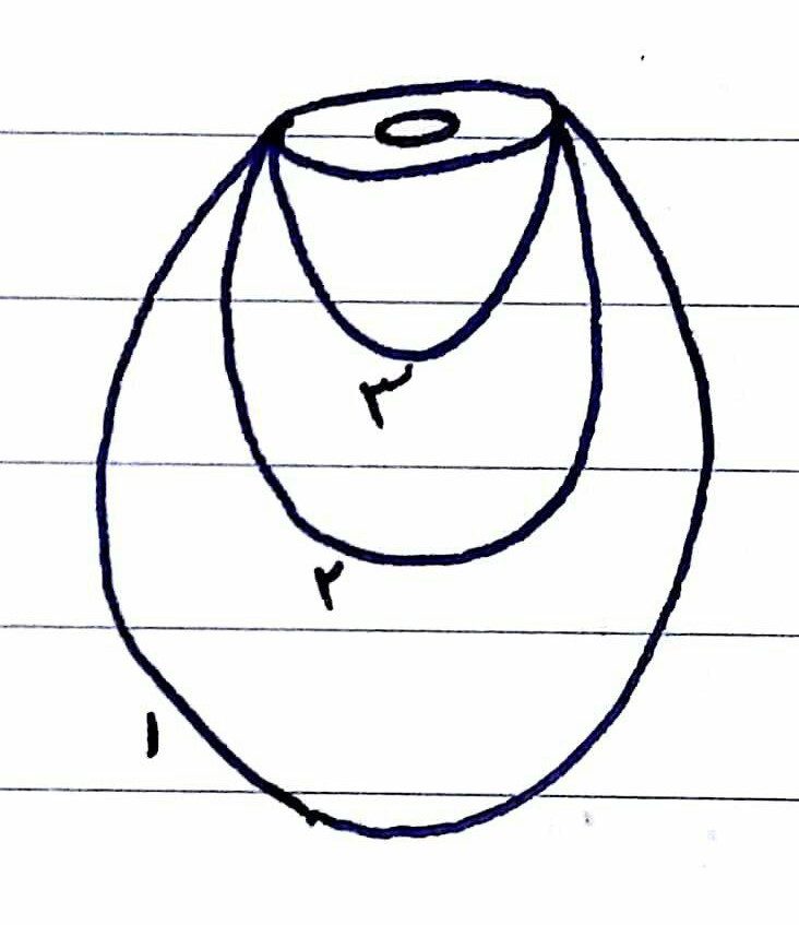 شکل ۲