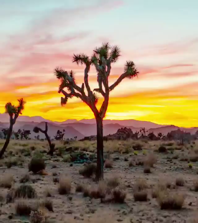 شکل ۵